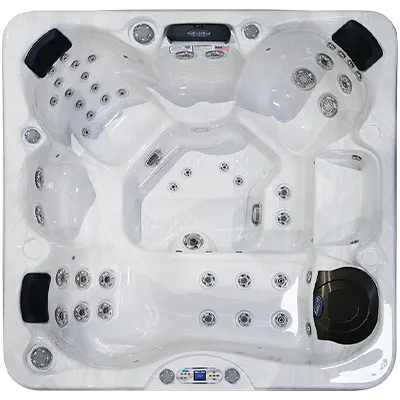 Avalon EC-849L hot tubs for sale in Roseville