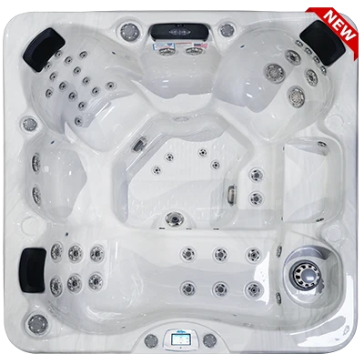 Avalon-X EC-849LX hot tubs for sale in Roseville